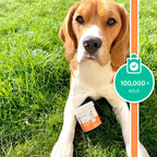 Our Dogs Life Eye Wipes For Dogs
