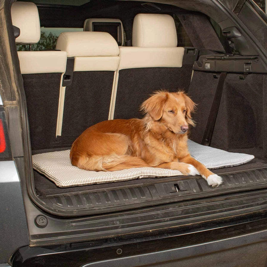 Lords & Labradors - Travel Mat in Regency Stripe