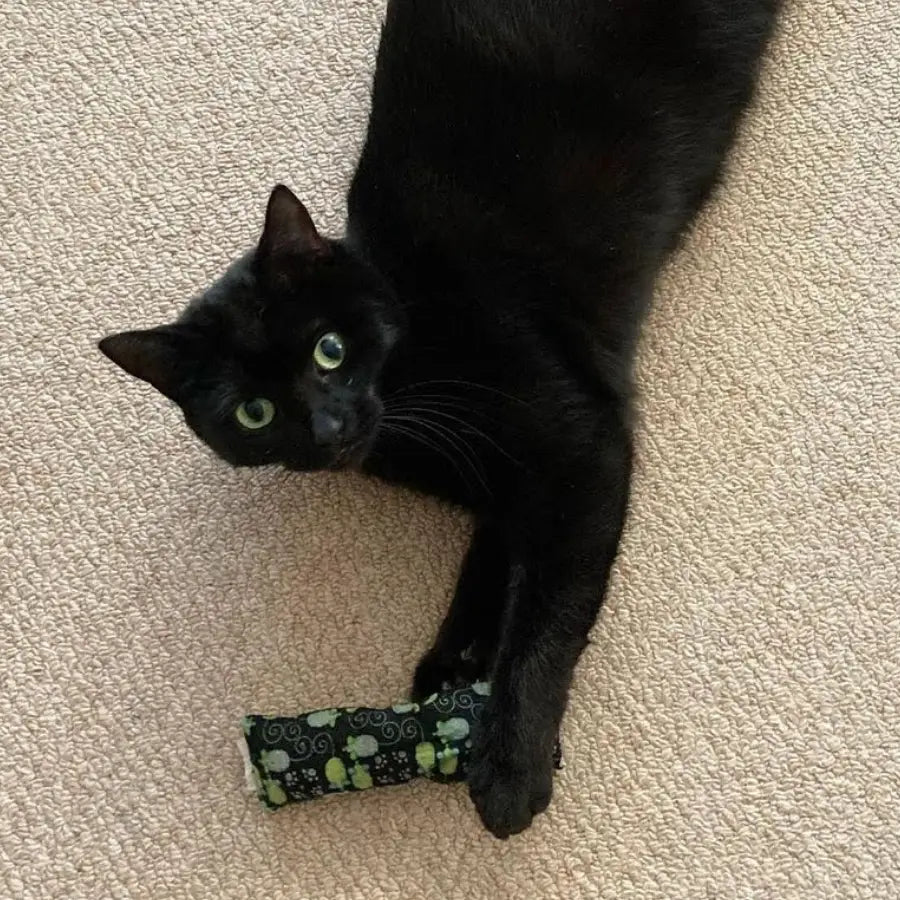 Meow Avenue Catnip Kicker
