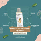 Wild Wash Puppy Love Shampoo - 250ml