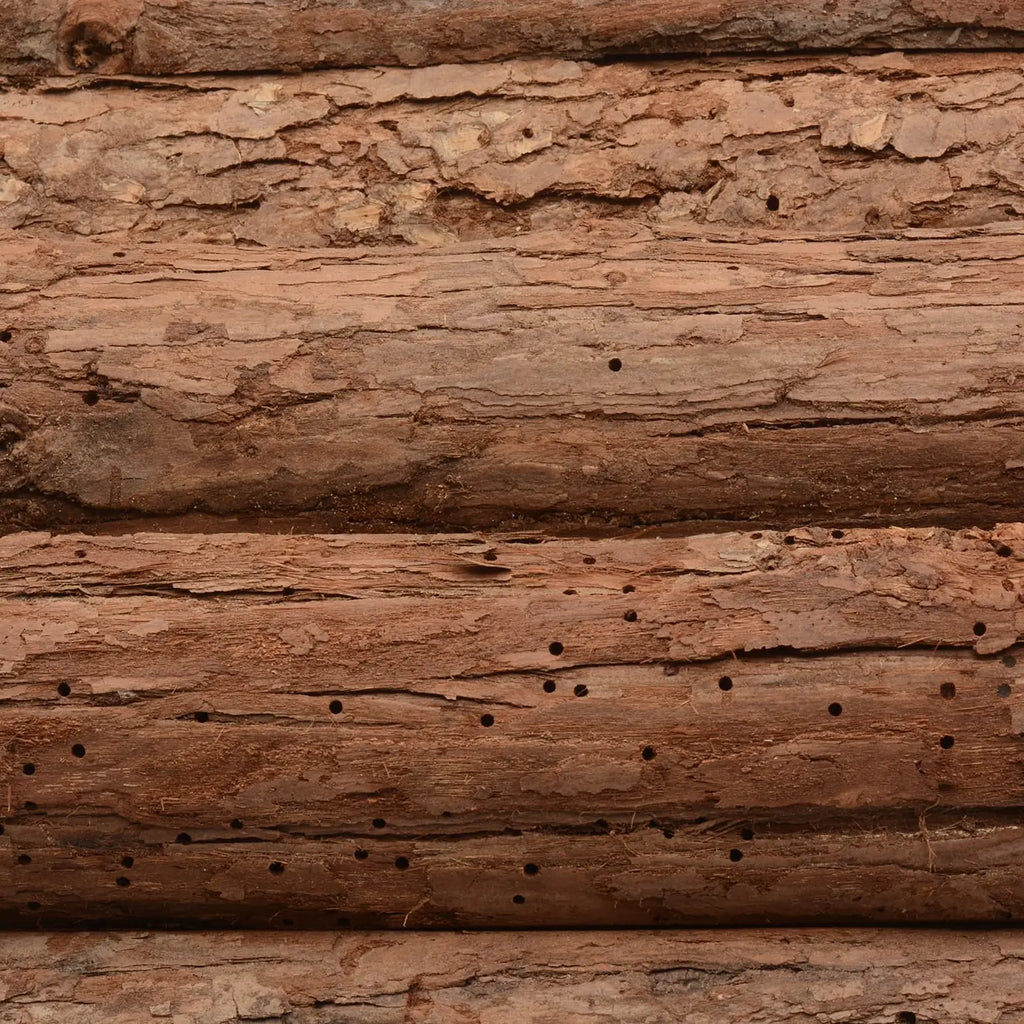 Wooden Hedgehog Outdoor Shelter