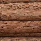 Wooden Hedgehog Outdoor Shelter