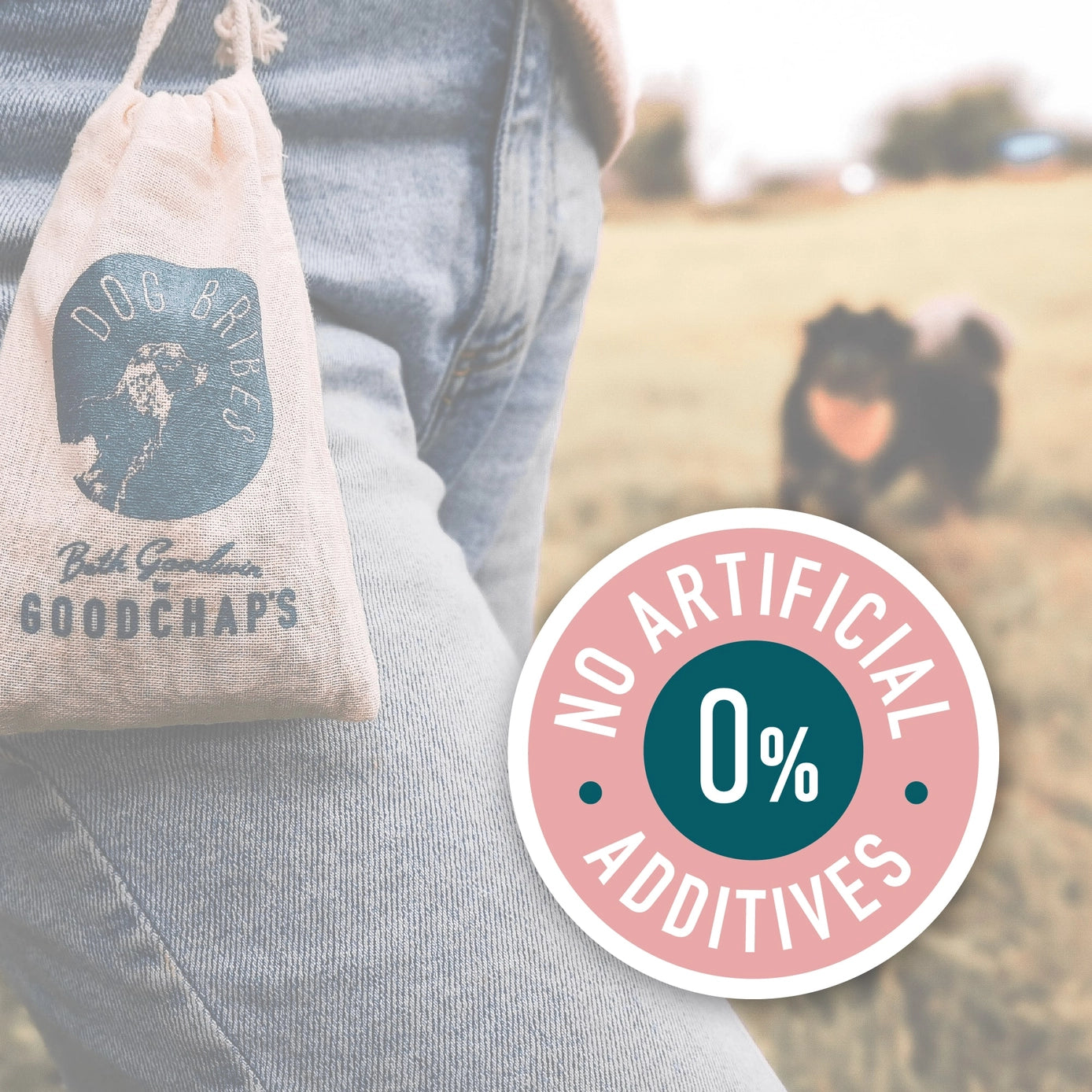 Goodchaps Poultry Training Treats