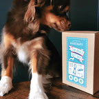 Goodchaps The Dog's Gift Box