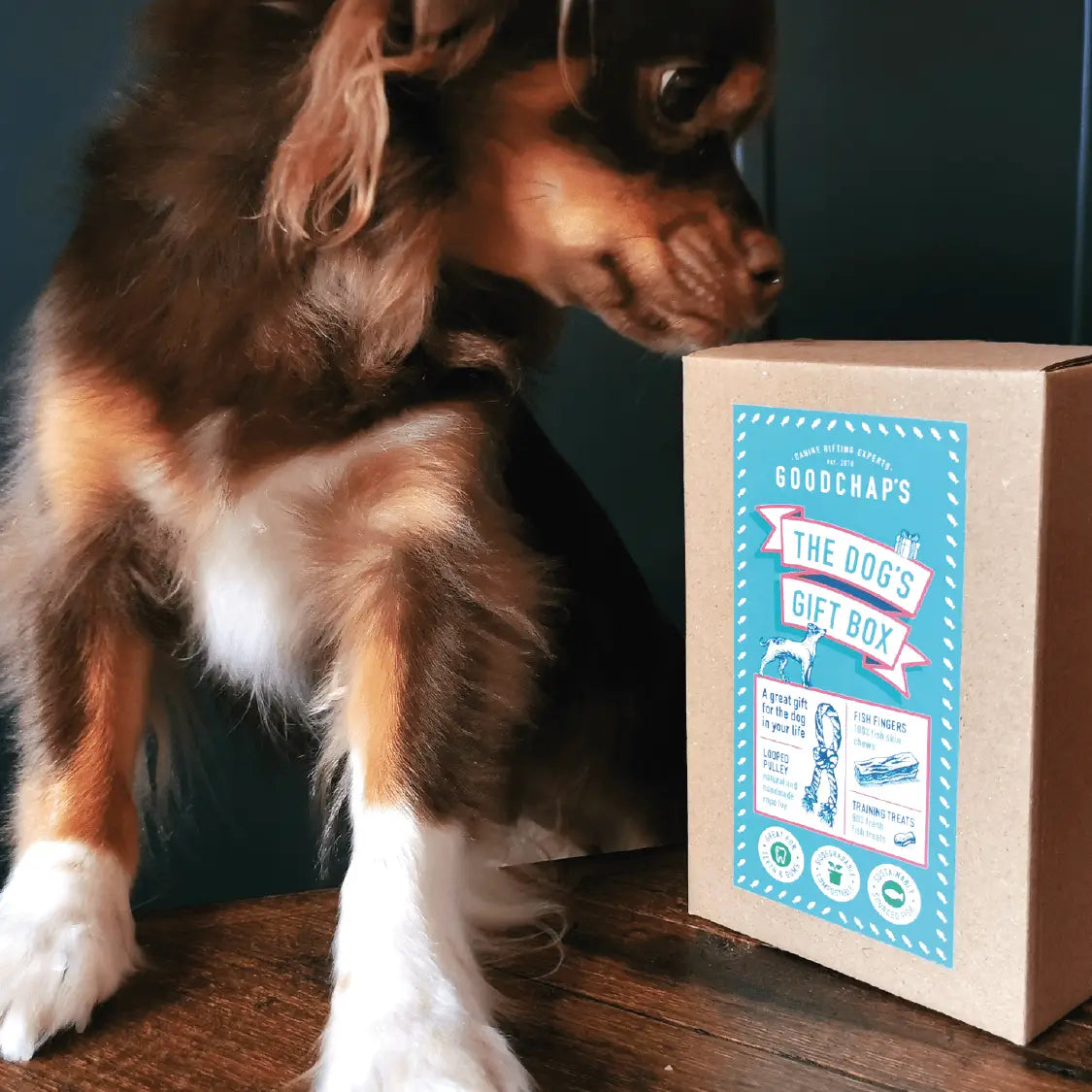 Goodchaps The Dog's Gift Box