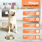 Our Dogs Life Plaque Remover for Dogs