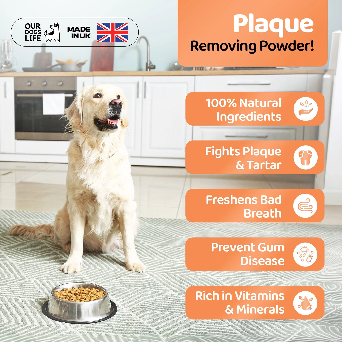 Our Dogs Life Plaque Remover for Dogs