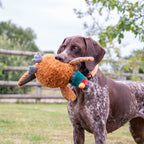 Ancol Heritage Collection Phoebe the Pheasant with Squeak and Crinkle