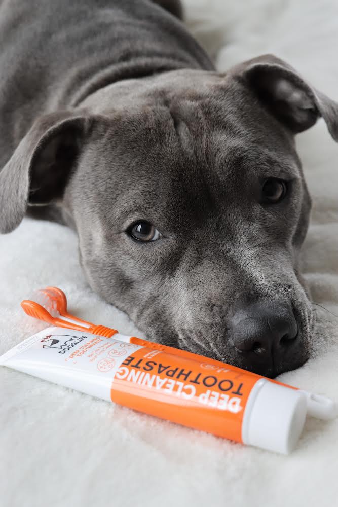 Our Dogs Life - Toothpaste For Dogs - 90g