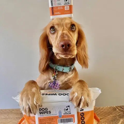 Our Dogs Life - Scented Dog Wipes