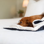 Lords and Labradors - Dog & Puppy Blanket in Navy Essentials Plush