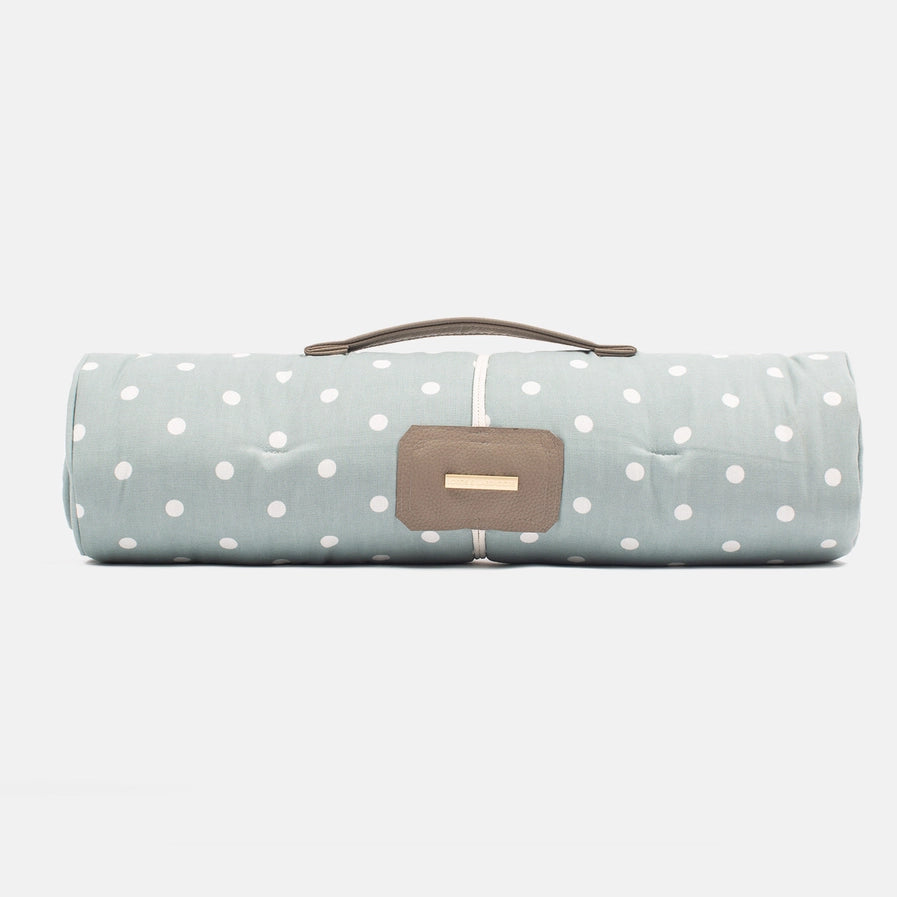 Lords & Labradors - Travel Mat in Duck Egg Spot