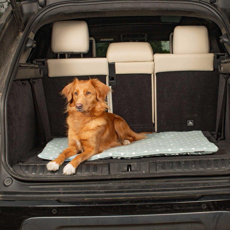 Lords & Labradors - Travel Mat in Duck Egg Spot