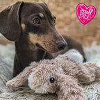 Ancol Small Plush Rabbit