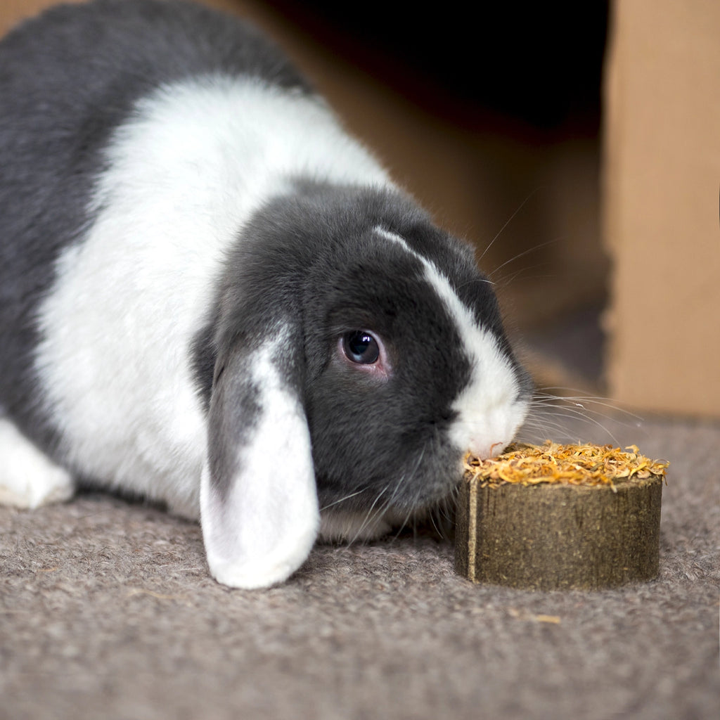 Natural Nibbles - Botanical Topped Cookies For Rabbits 4pk