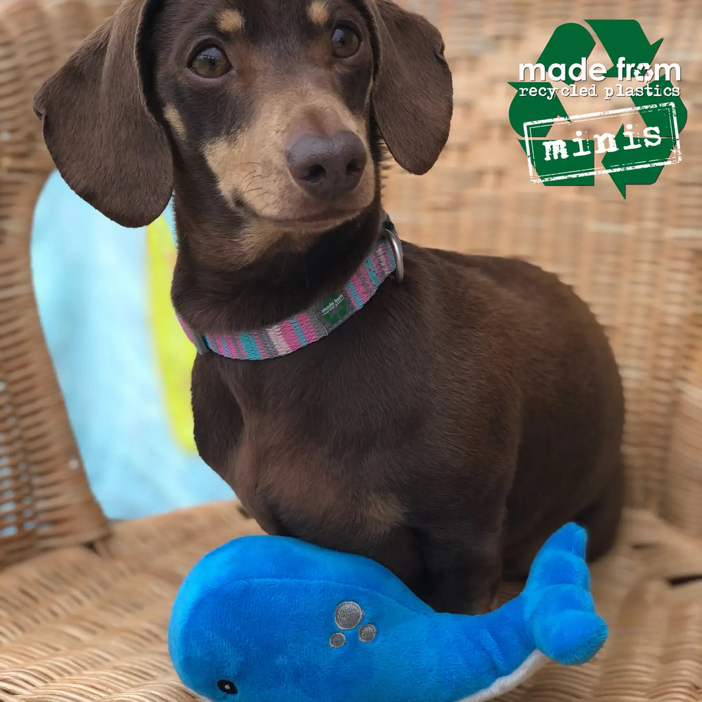 Ancol The Sea Mini Collection (Made from Recycled Plastic)