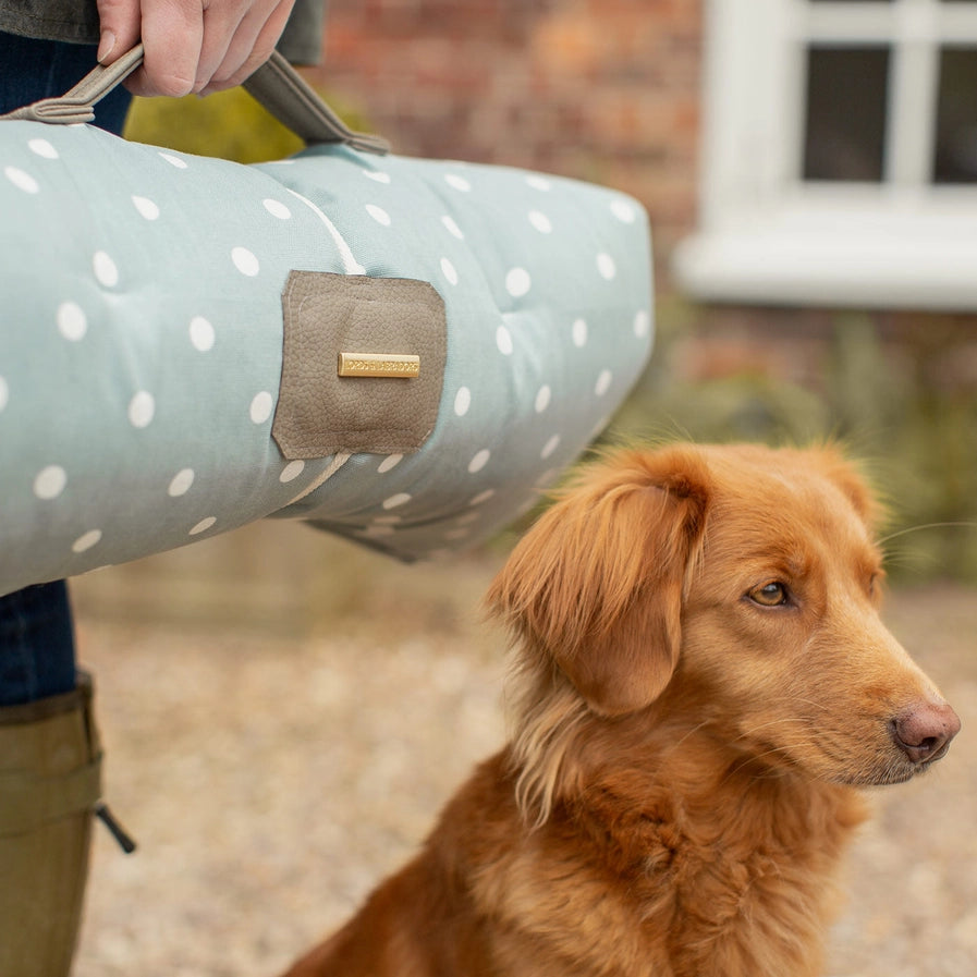 Lords & Labradors - Travel Mat in Duck Egg Spot