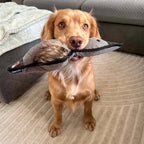 Ancol Heritage Collection Tweed Duck with Squeak