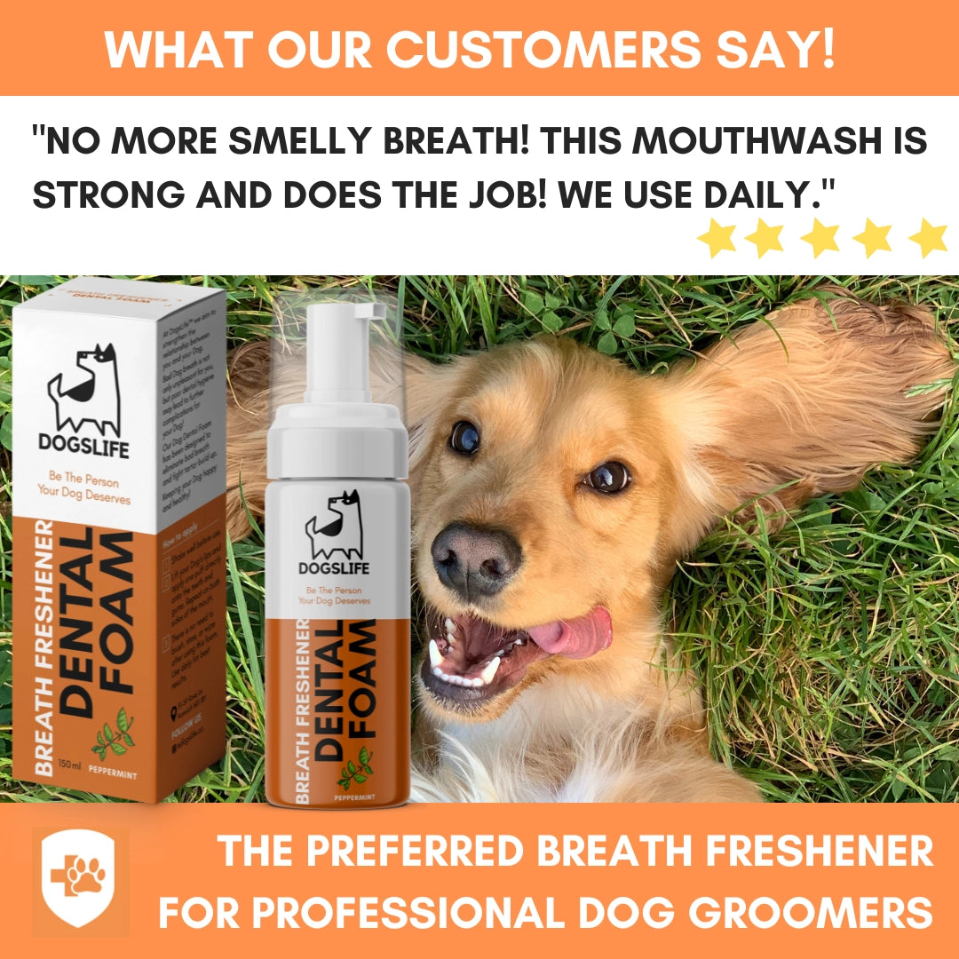 Our Dogs Life First Aid Kit Spray